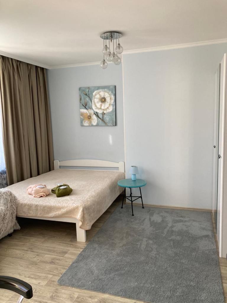 Apartments Fantasy Kotor Extérieur photo